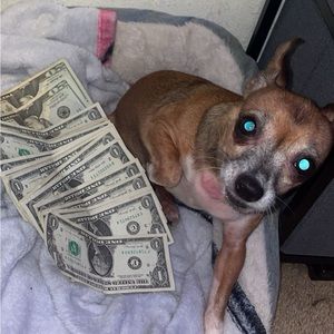 Meet your Posher, Antonio